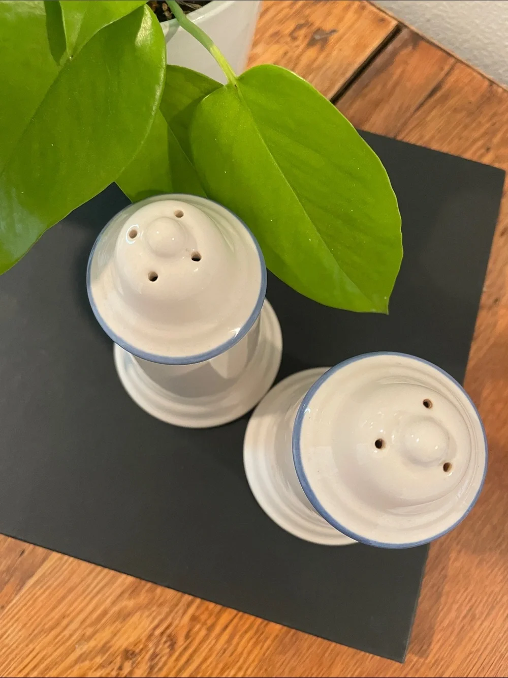 Vintage Pfaltzgraff Yorktowne Salt & Pepper Shakers | Blue Floral | Made in USA
